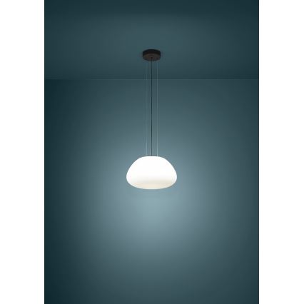 Eglo - Κρεμαστό φωτιστικό οροφής 1xE27/40W/230V μαύρο