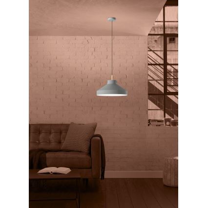 Eglo - Κρεμαστό φωτιστικό οροφής 1xE27/40W/230V γκρι