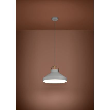 Eglo - Κρεμαστό φωτιστικό οροφής 1xE27/40W/230V γκρι