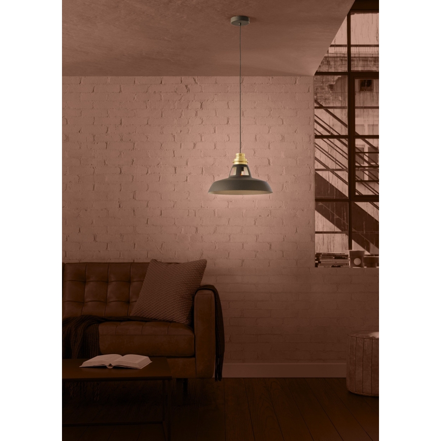 Eglo - Κρεμαστό φωτιστικό οροφής 1xE27/40W/230V μαύρο/χρυσό