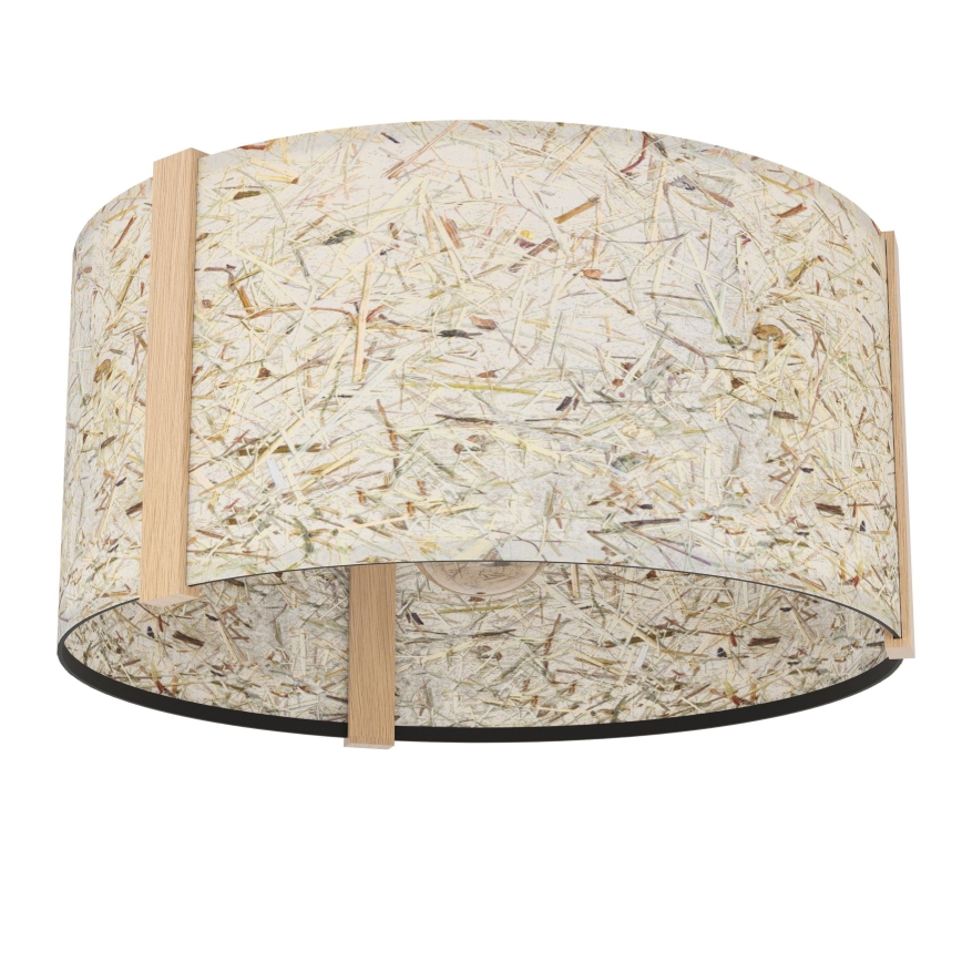 Eglo - Φωτιστικό οροφής 1xE27/25W/230V μπεζ