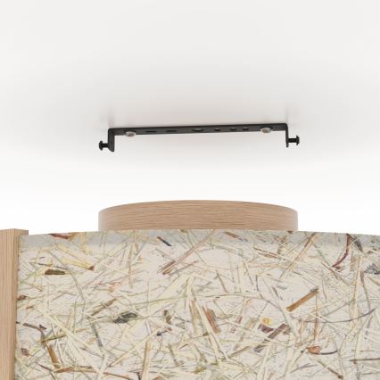 Eglo - Φωτιστικό οροφής 1xE27/25W/230V μπεζ