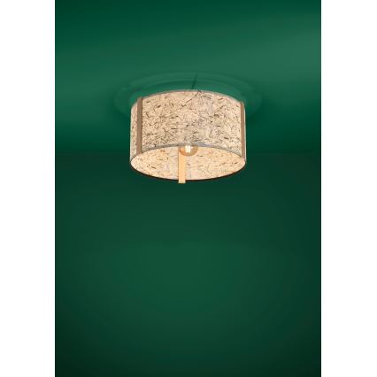 Eglo - Φωτιστικό οροφής 1xE27/25W/230V μπεζ