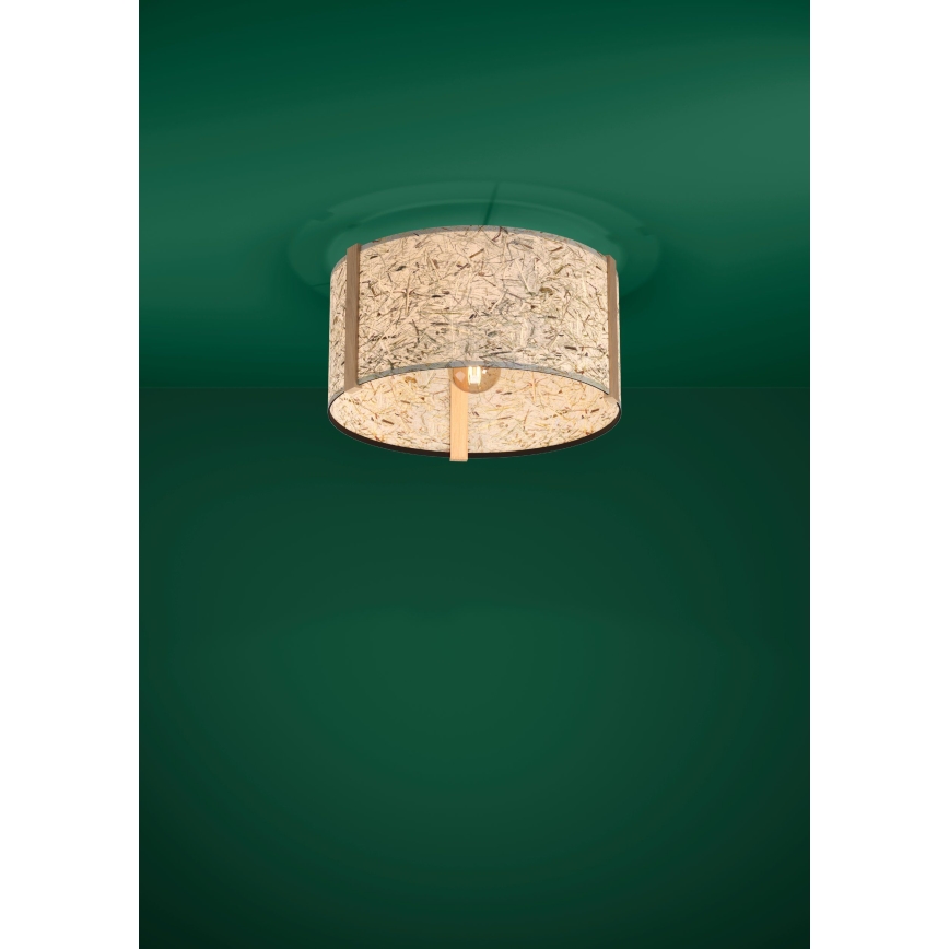 Eglo - Φωτιστικό οροφής 1xE27/25W/230V μπεζ