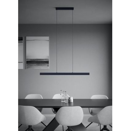 Eglo - Ρυθμιζόμενο LED φωτιστικό οροφής με καλώδιο LED/20W/230V 3000K μαύρο