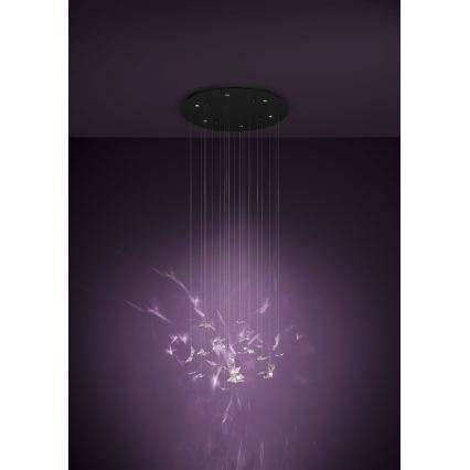 Eglo - LED ρυθμιζόμενο κρεμαστό φωτιστικό με καλώδιο 6xLED/4,2W/230V μαύρο/διάφανο