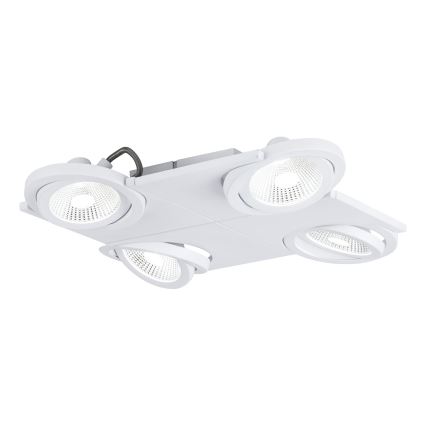 Eglo 39136 - Φως σποτ LED BREA 4xLED/5W/230V/12V
