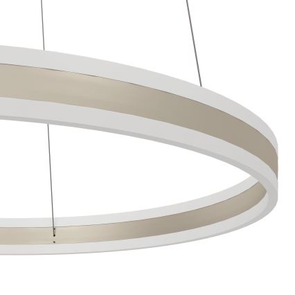 Eglo - Πολύφωτο dimmer LED σε σχοινί LED/78W/230V