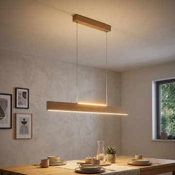 Eglo 39344 - Κρεμαστό φωτιστικό LED με καλώδιο CLIMENE LED/17W/230V + LED/4,2W δρυς