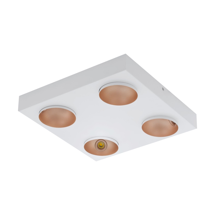 Eglo - Φως οροφής dimmer LED 4xLED/3,3W/230V