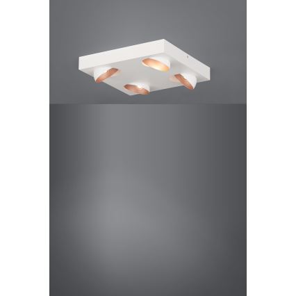 Eglo - Φως οροφής dimmer LED 4xLED/3,3W/230V