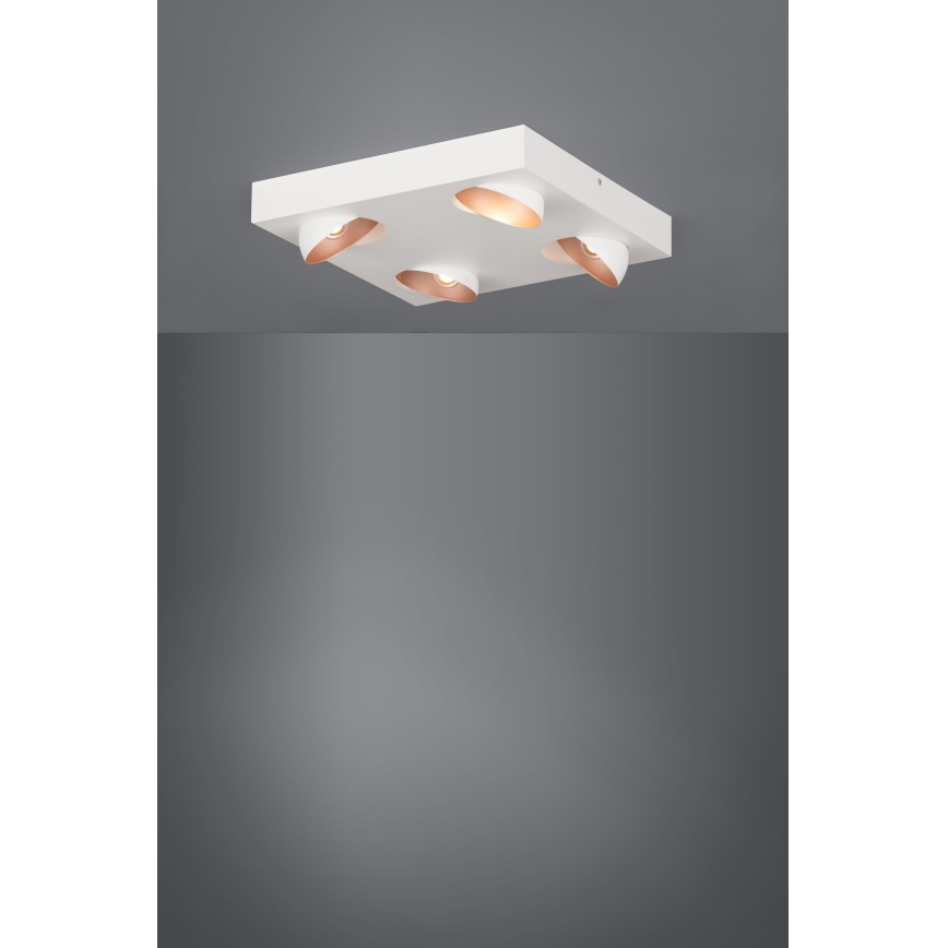 Eglo - Φως οροφής dimmer LED 4xLED/3,3W/230V