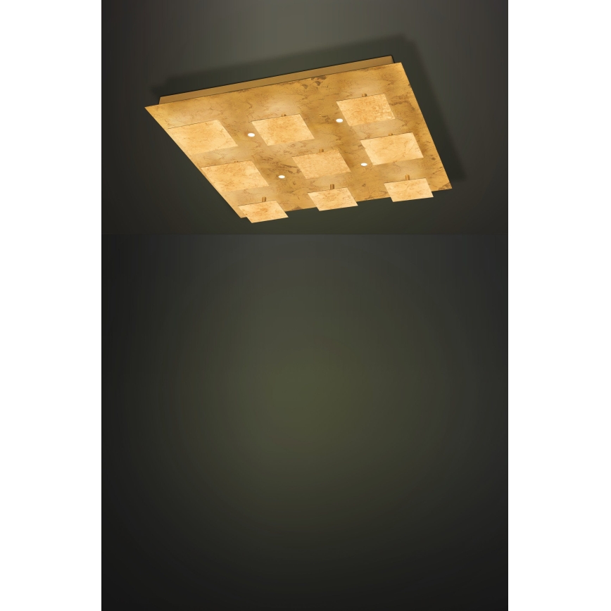 Eglo - LED Φως dimmer 4xLED/5,4W/230V + 9xLED/4,5W