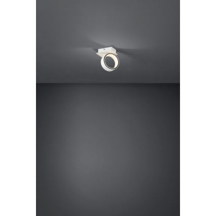 Eglo - LED Σποτ LED/4,6W/230V 3000K