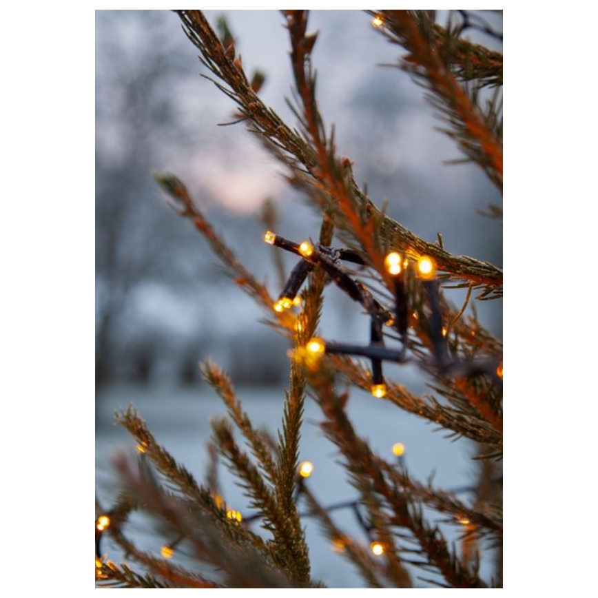 Eglo - LED γιρλάντα εξωτερικού χώρου 1200xLED 29m IP44 θερμό λευκό