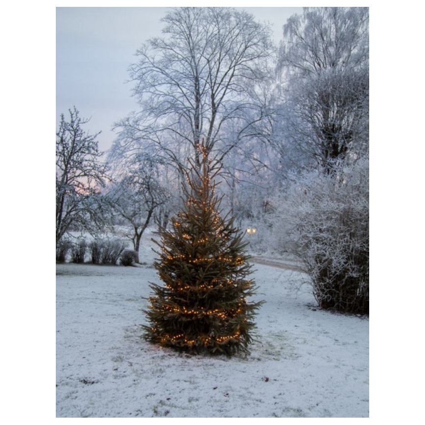 Eglo - LED γιρλάντα εξωτερικού χώρου 1200xLED 29m IP44 θερμό λευκό