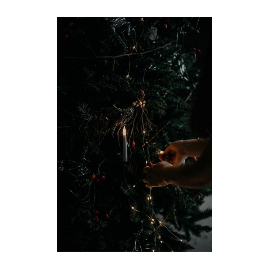 Eglo - Χριστουγεννιάτικο δέντρο 250 cm έλατο