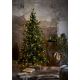 Eglo - Χριστουγεννιάτικο δέντρο LED 270xLED/0.064W/30/230V IP44