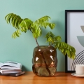 Eglo 421238 - Γυάλινο βάζο MAROSAVA 23x20 cm καφέ/καπνιστό