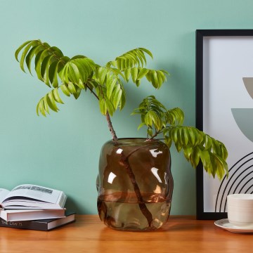 Eglo 421238 - Γυάλινο βάζο MAROSAVA 23x20 cm καφέ/καπνιστό