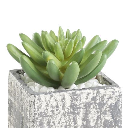 Eglo - Τεχνητό φυτό σε γλάστρα 12x7,5 εκ. παχύφυτο