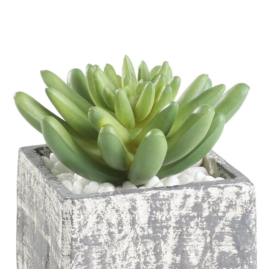 Eglo - Τεχνητό φυτό σε γλάστρα 12x7,5 εκ. παχύφυτο