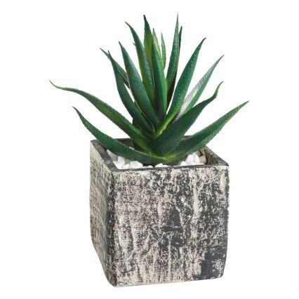 Eglo - Τεχνητό φυτό σε γλάστρα 13x9,5 cm succulent