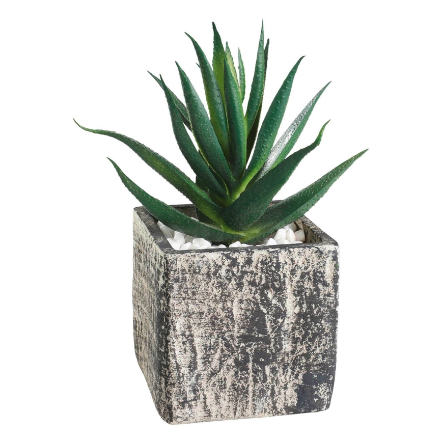 Eglo - Τεχνητό φυτό σε γλάστρα 13x9,5 cm succulent