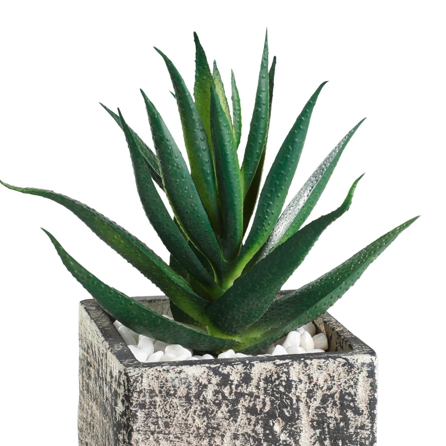 Eglo - Τεχνητό φυτό σε γλάστρα 13x9,5 cm succulent