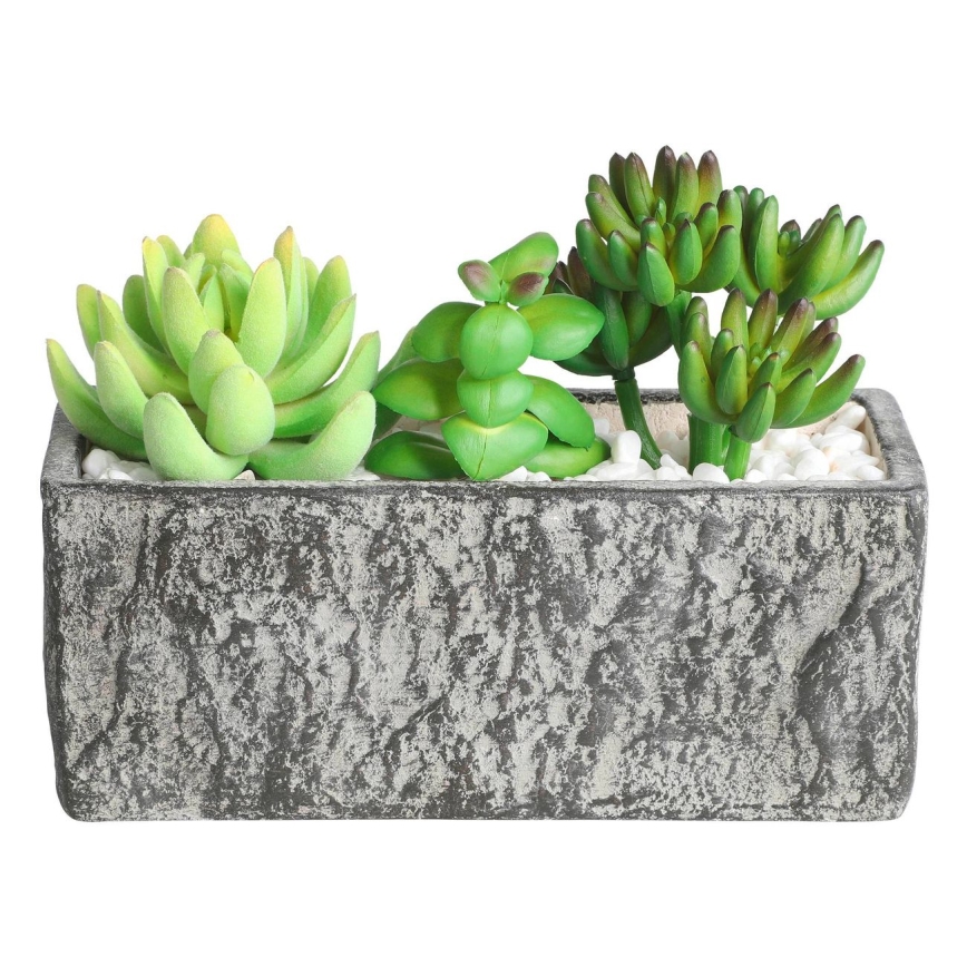 Eglo - Τεχνητό φυτό σε γλάστρα 14,5x17,8 cm succulent