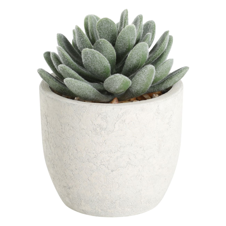 Eglo - Τεχνητό φυτό σε γλάστρα 11x8 cm succulent