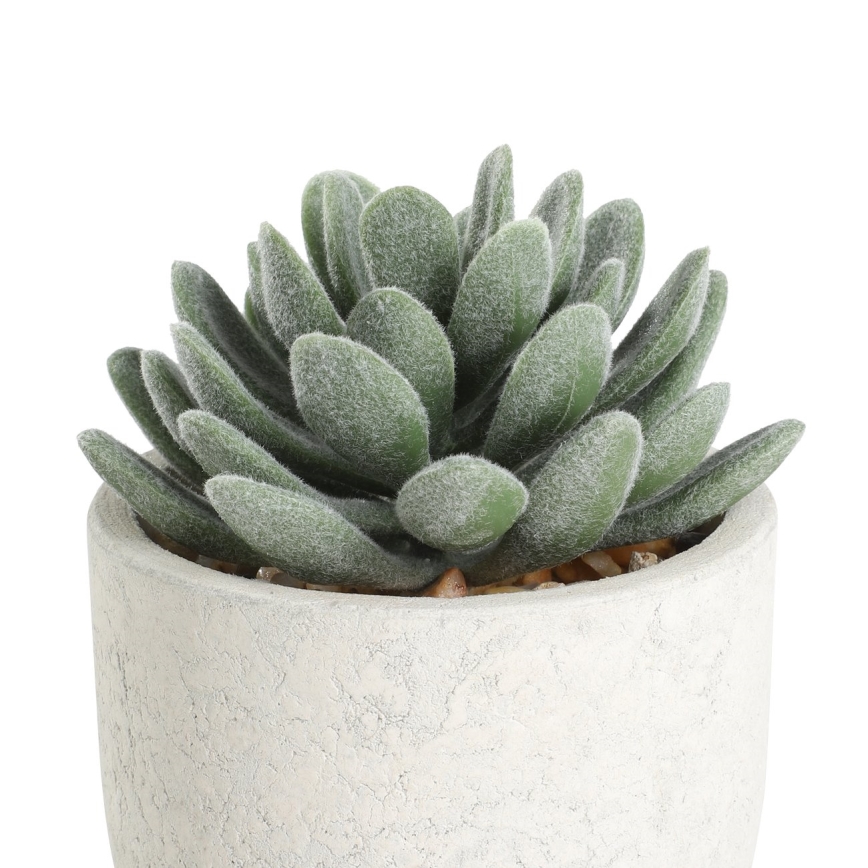 Eglo - Τεχνητό φυτό σε γλάστρα 11x8 cm succulent