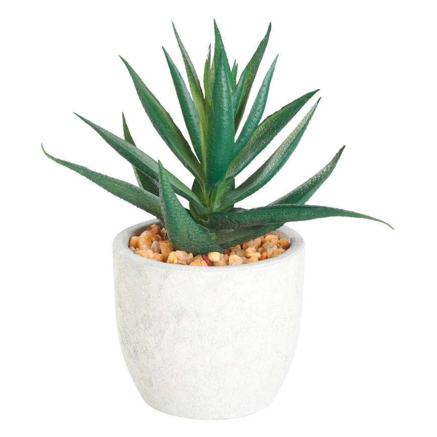 Eglo - Τεχνητό φυτό σε γλάστρα 15,5x10 εκ. παχύφυτο