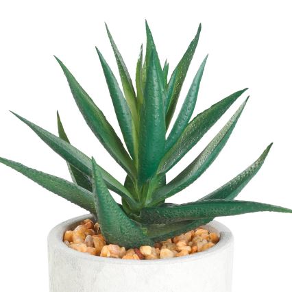 Eglo - Τεχνητό φυτό σε γλάστρα 15,5x10 cm succulent