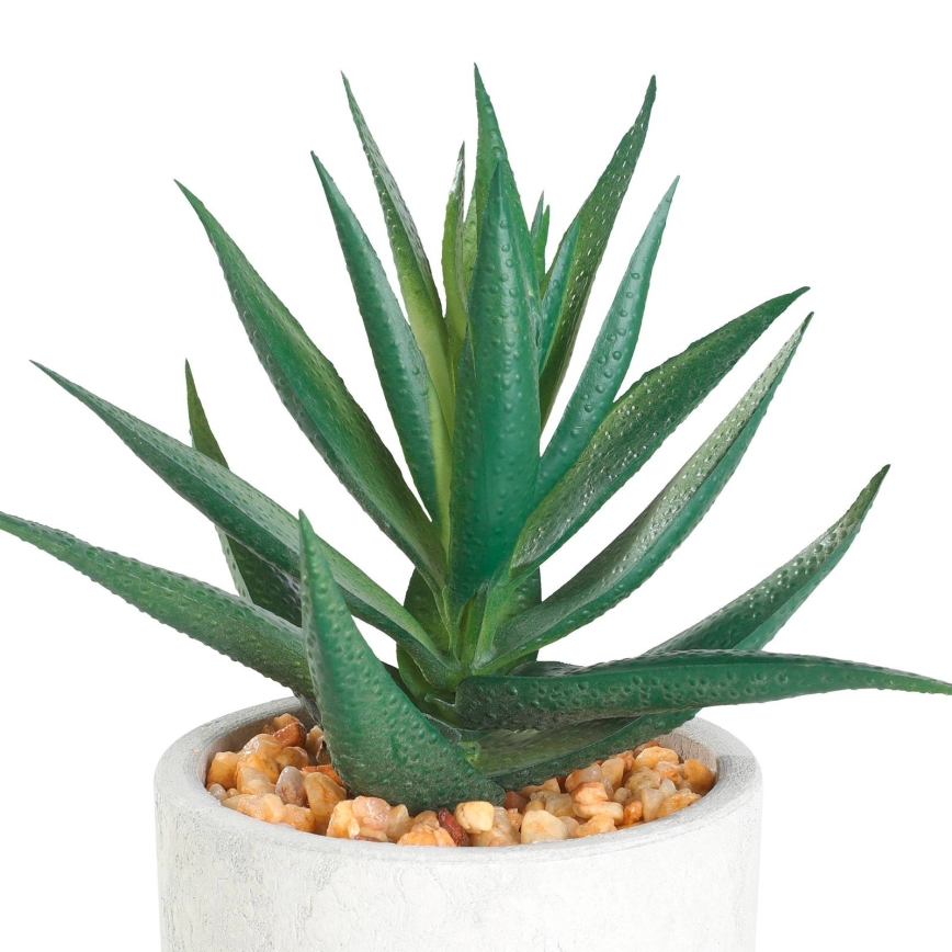 Eglo - Τεχνητό φυτό σε γλάστρα 15,5x10 cm succulent