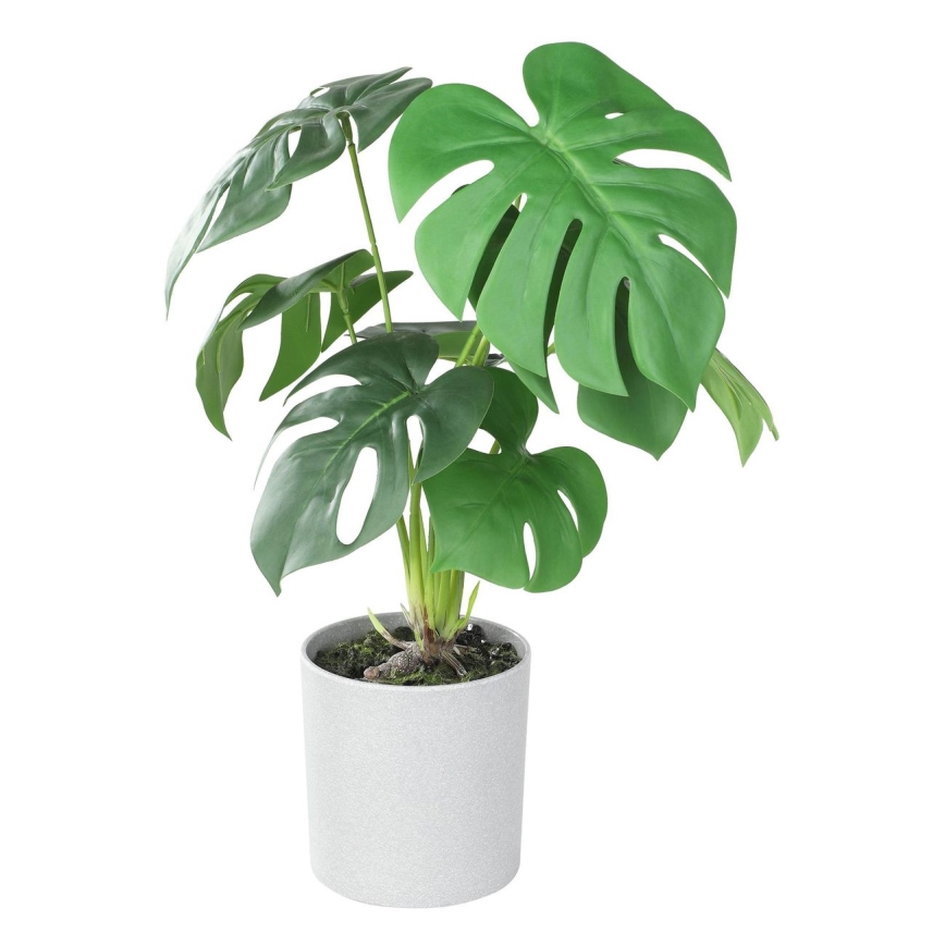 Eglo - Τεχνητό φυτό σε γλάστρα 42x30 cm monstera