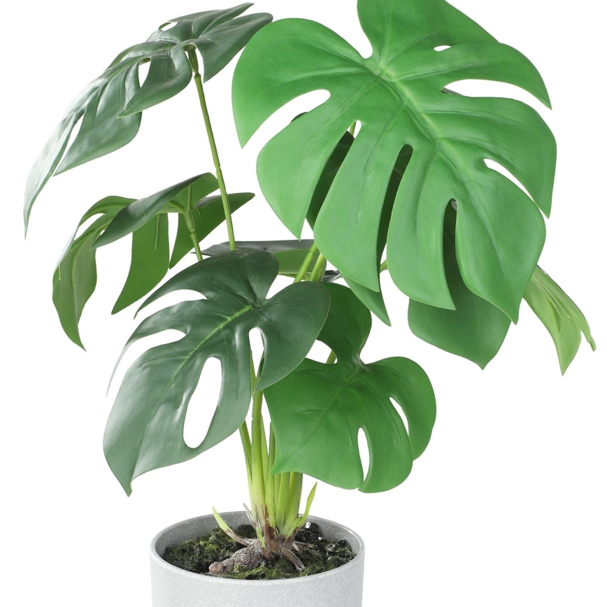 Eglo - Τεχνητό φυτό σε γλάστρα 42x30 cm monstera