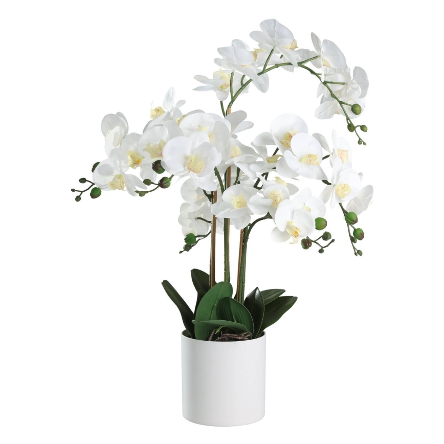 Eglo - Τεχνητό φυτό σε γλάστρα 65x50 cm orchid