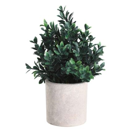 Eglo - Τεχνητό φυτό σε γλάστρα 23x18 εκ.