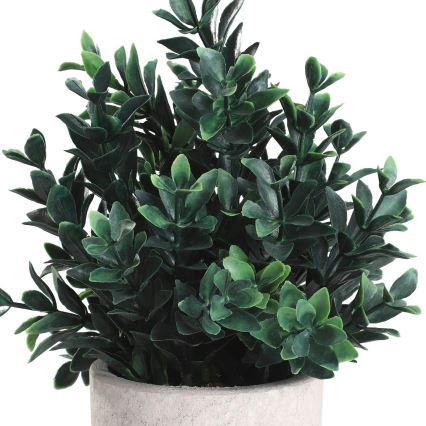 Eglo - Τεχνητό φυτό σε γλάστρα 23x18 εκ.