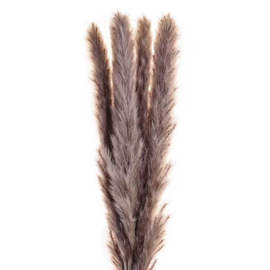 Eglo - Dried λουλούδι 60 cm μωβ