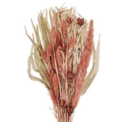Eglo - Dried λουλούδι 60 cm πορτοκαλί