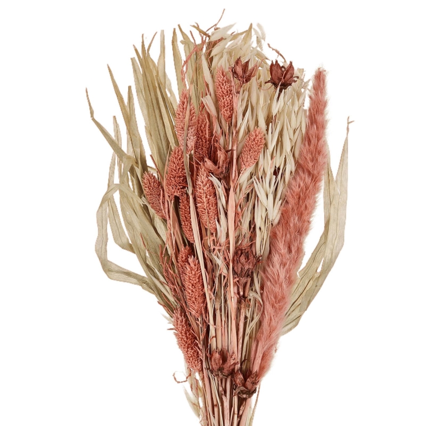 Eglo - Dried λουλούδι 60 cm πορτοκαλί