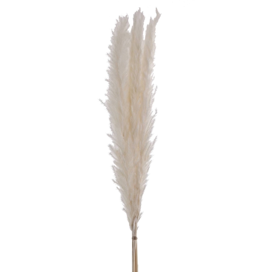 Eglo - Dried λουλούδι 70 cm λευκό