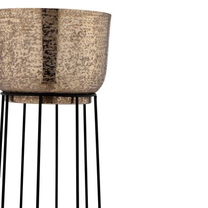 Eglo - ΣΕΤ 3x Μεταλλικό κασπώ μαύρο/χρυσό