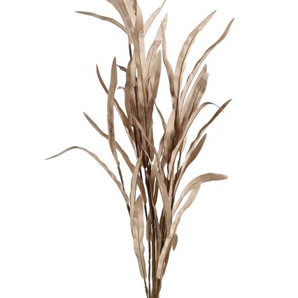 Eglo - Τεχνητό λουλούδι 82 cm καφέ