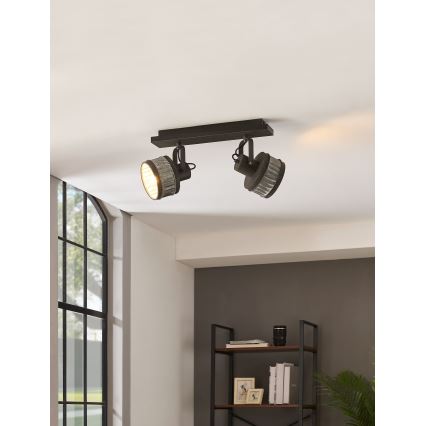 Eglo 43445 - Σποτ φωτιστικό TURROCK 2xE27/28W/230V