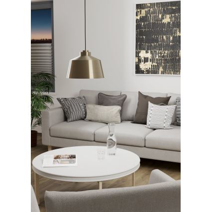Eglo -Κρεμαστό φωτιστικό οροφής 1xE27/40W/230V