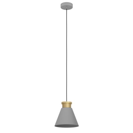 Eglo - Φωτιστικό οροφής με καλώδιο 1xE27/40W/230V