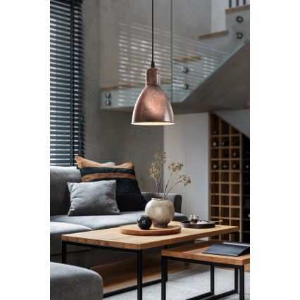 Eglo - Φωτιστικό οροφής 1xE27/60W/230V